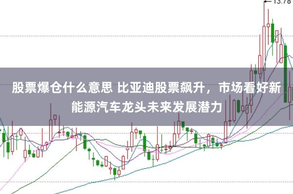 股票爆仓什么意思 比亚迪股票飙升，市场看好新能源汽车龙头未来发展潜力