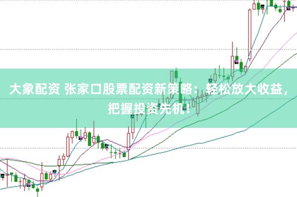 大象配资 张家口股票配资新策略：轻松放大收益，把握投资先机！