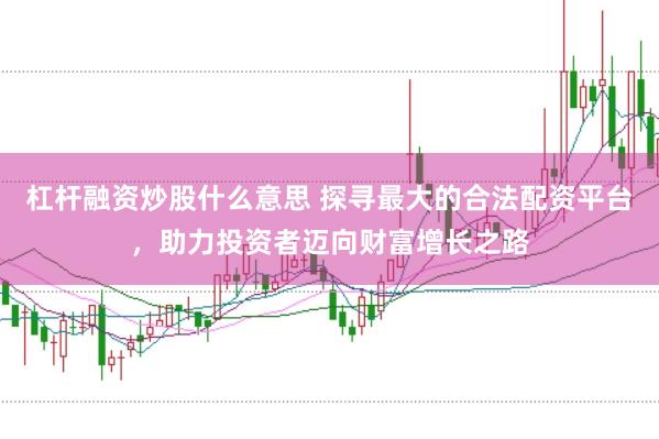 杠杆融资炒股什么意思 探寻最大的合法配资平台，助力投资者迈向财富增长之路