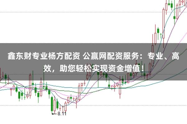 鑫东财专业杨方配资 公赢网配资服务：专业、高效，助您轻松实现资金增值！