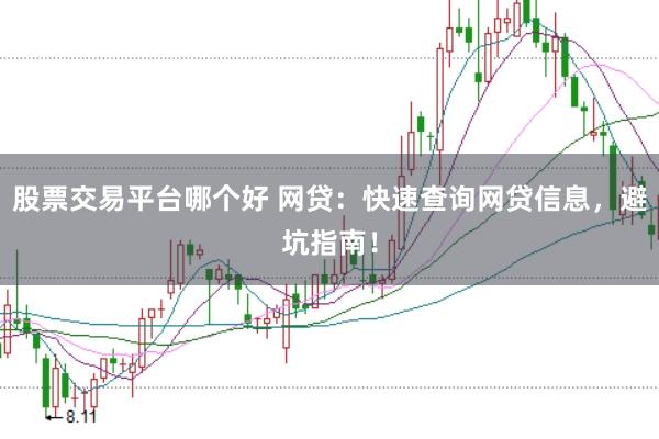 股票交易平台哪个好 网贷：快速查询网贷信息，避坑指南！