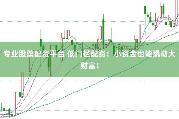 专业股票配资平台 低门槛配资：小资金也能撬动大财富！