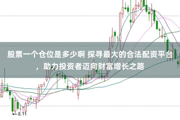 股票一个仓位是多少啊 探寻最大的合法配资平台，助力投资者迈向财富增长之路