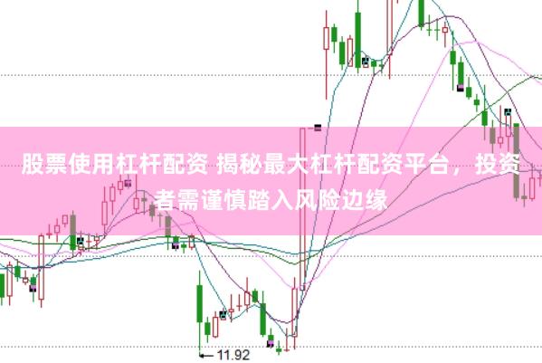 股票使用杠杆配资 揭秘最大杠杆配资平台，投资者需谨慎踏入风险边缘