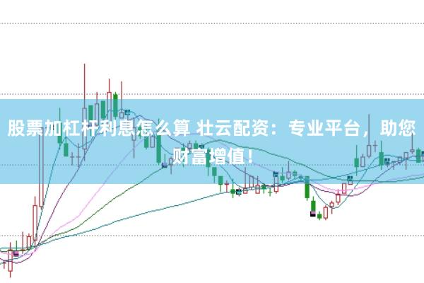 股票加杠杆利息怎么算 壮云配资：专业平台，助您财富增值！