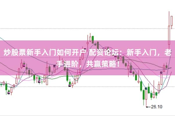 炒股票新手入门如何开户 配资论坛：新手入门，老手进阶，共赢策略！