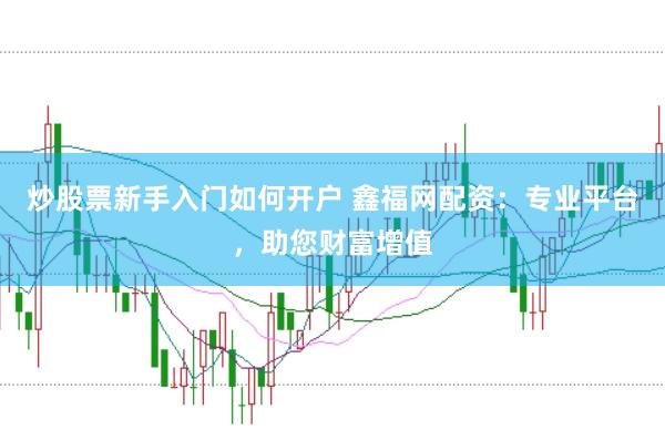 炒股票新手入门如何开户 鑫福网配资：专业平台，助您财富增值