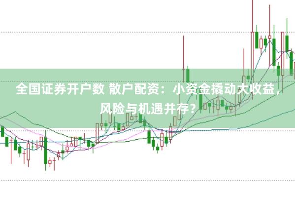 全国证券开户数 散户配资：小资金撬动大收益，风险与机遇并存？