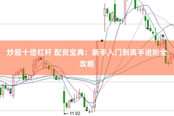 炒股十倍杠杆 配资宝典：新手入门到高手进阶全攻略