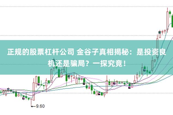 正规的股票杠杆公司 金谷子真相揭秘：是投资良机还是骗局？一探究竟！
