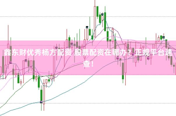 鑫东财优秀杨方配资 股票配资在哪办？正规平台速查！