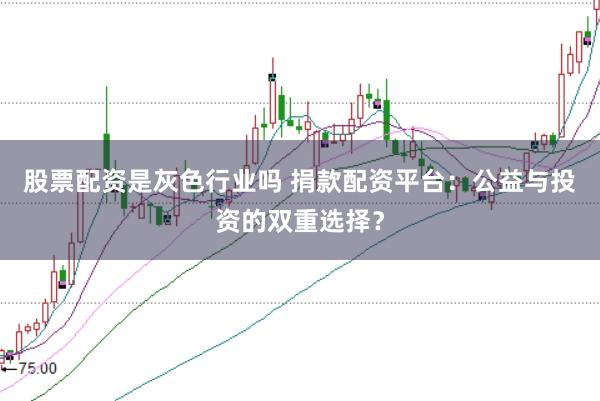 股票配资是灰色行业吗 捐款配资平台：公益与投资的双重选择？