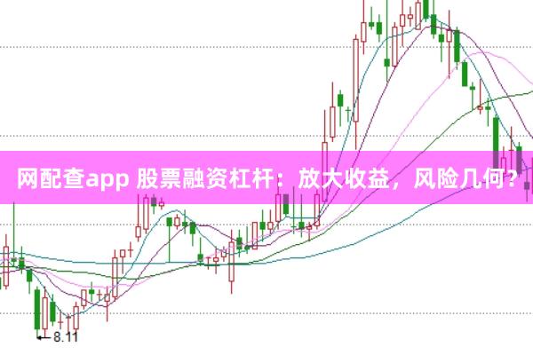 网配查app 股票融资杠杆：放大收益，风险几何？