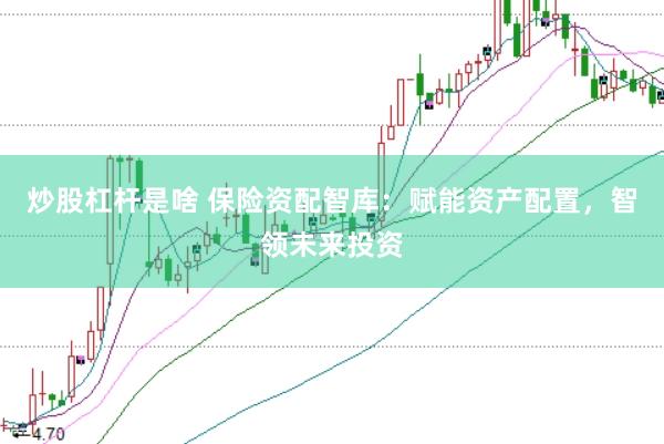 炒股杠杆是啥 保险资配智库：赋能资产配置，智领未来投资