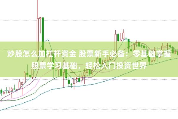 炒股怎么加杠杆资金 股票新手必备：零基础掌握股票学习基础，轻松入门投资世界