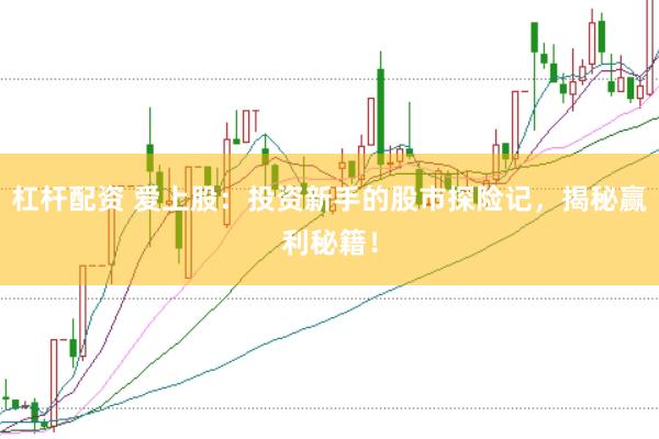 杠杆配资 爱上股：投资新手的股市探险记，揭秘赢利秘籍！