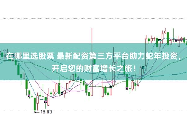在哪里选股票 最新配资第三方平台助力蛇年投资，开启您的财富增长之旅！