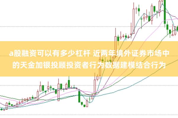 a股融资可以有多少杠杆 近两年境外证券市场中的天金加银投顾投资者行为数据建模结合行为