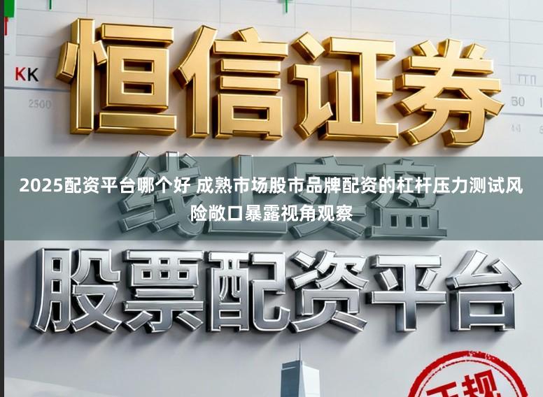 2025配资平台哪个好 成熟市场股市品牌配资的杠杆压力测试风险敞口暴露视角观察
