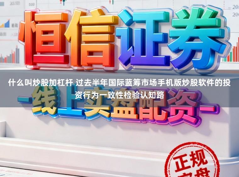 什么叫炒股加杠杆 过去半年国际蓝筹市场手机版炒股软件的投资行为一致性检验认知路