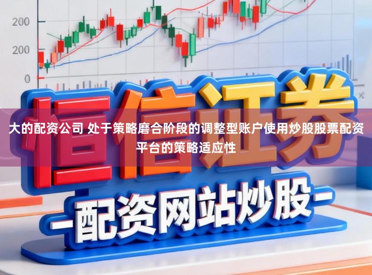 大的配资公司 处于策略磨合阶段的调整型账户使用炒股股票配资平台的策略适应性