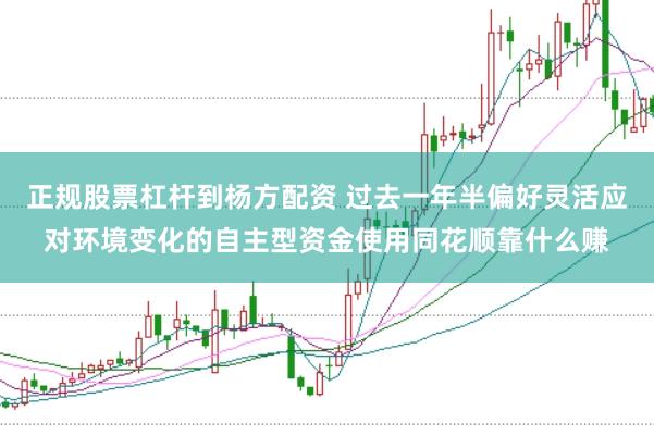 正规股票杠杆到杨方配资 过去一年半偏好灵活应对环境变化的自主型资金使用同花顺靠什么赚